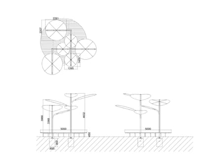 Structural Botany